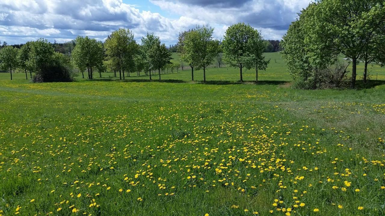 Apartmán Harzquartier Friedrichsbrunn Exteriér fotografie